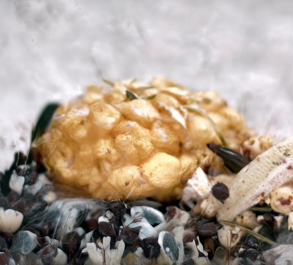 柔宁科技动态图片壁纸，科技与艺术的交融，为数字生活注入灵动之美