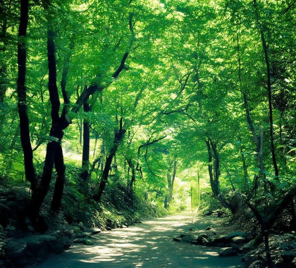 大兴安岭电气科技开发有限公司，科技赋能能源发展，助力区域绿色转型